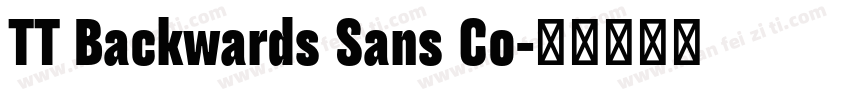 TT Backwards Sans Co字体转换